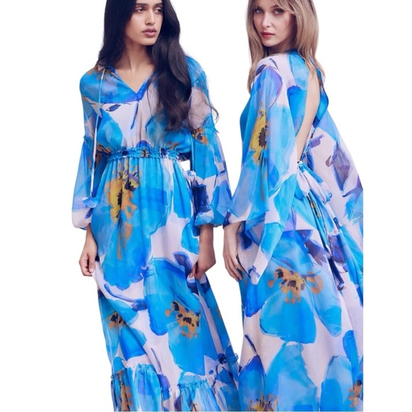Misa Los Angeles Dresses & Skirts - Misa Los Angeles Blue Amara Floral Sheer Chiffoh Tiered-Sleeve Maxi Dress
